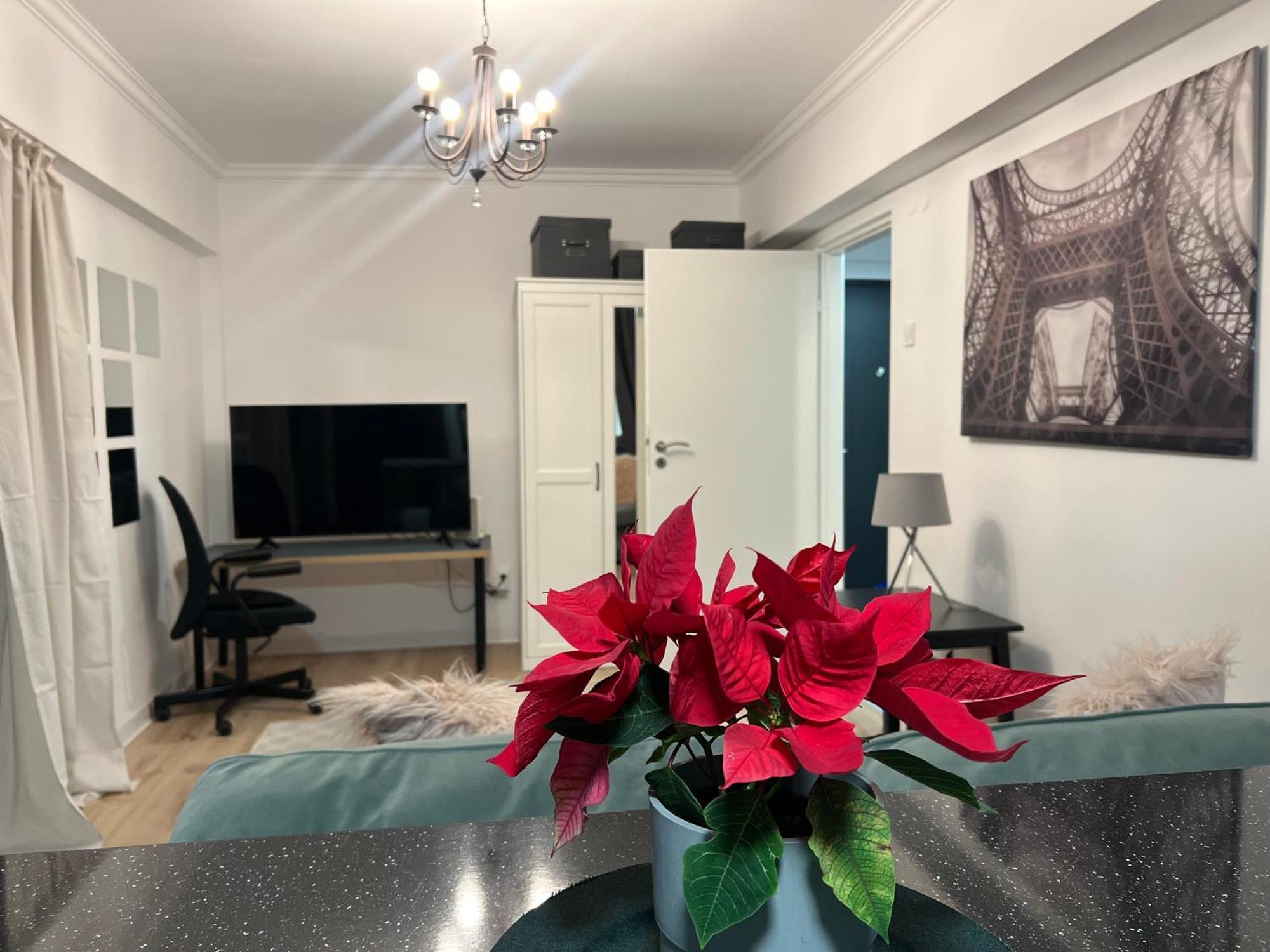 Cosy Studio Floreasca Бухарест Екстер'єр фото
