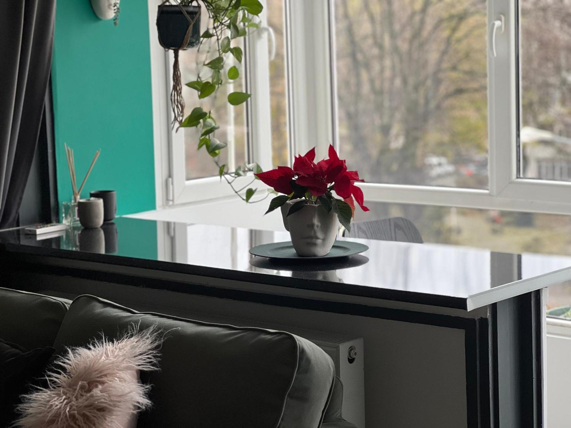 Cosy Studio Floreasca Бухарест Екстер'єр фото