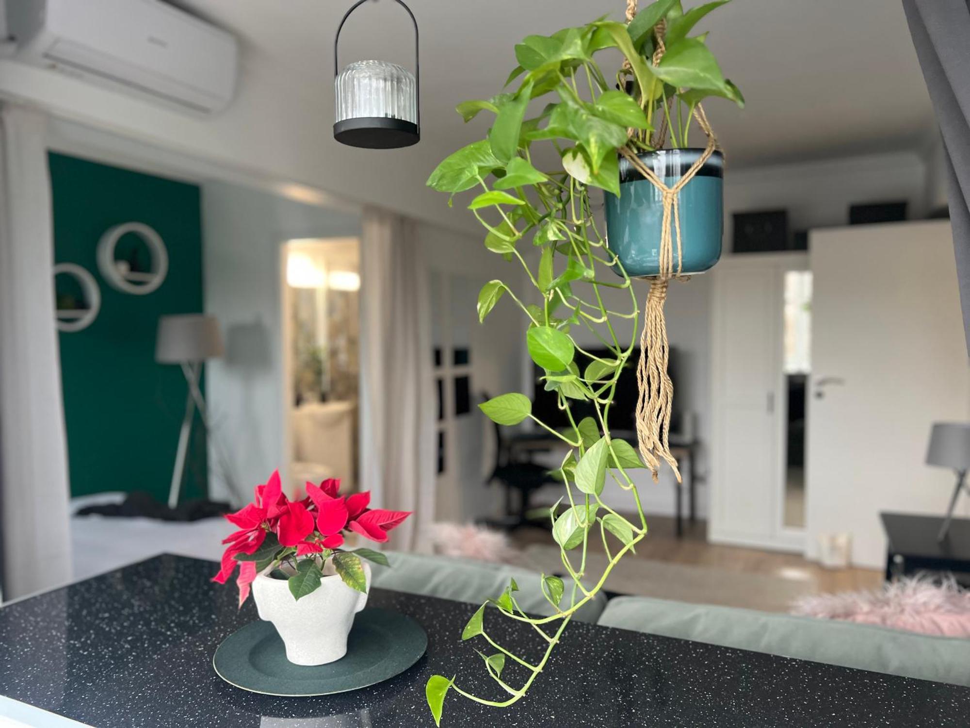 Cosy Studio Floreasca Бухарест Екстер'єр фото
